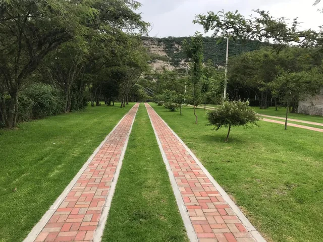 Vendo Hermoso Terreno en Algarrobos de Pillagua — imagen 2