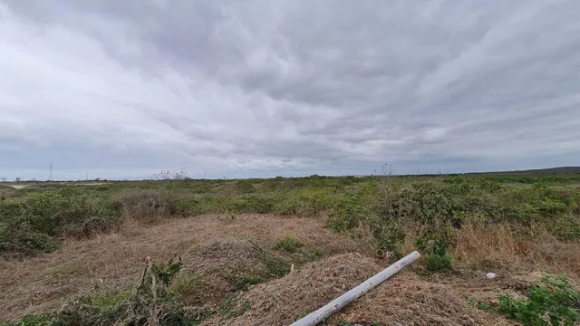 Terreno en Venta de 9.5 Hectáreas Al Pie de Carretera - Km. 5 Entrada a Santa Elena — imagen 5
