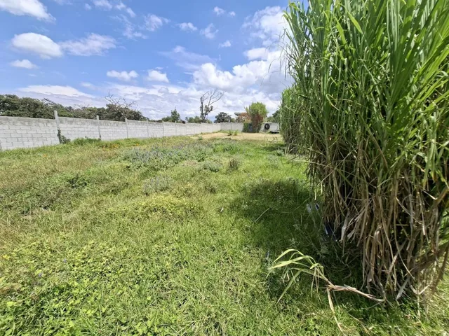 Vendo Excelente Terreno en Conjunto de 6 Lotes en Propiedad Horizontal — imagen 5