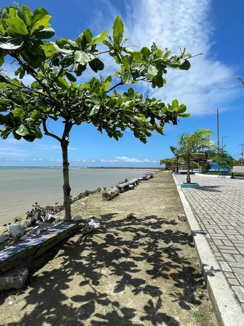 Venta Terreno 14.11hc Vía Canoa - San Vicente - con Casa, Piscina, Cancha de Tenis (Na), Manabí — imagen 4