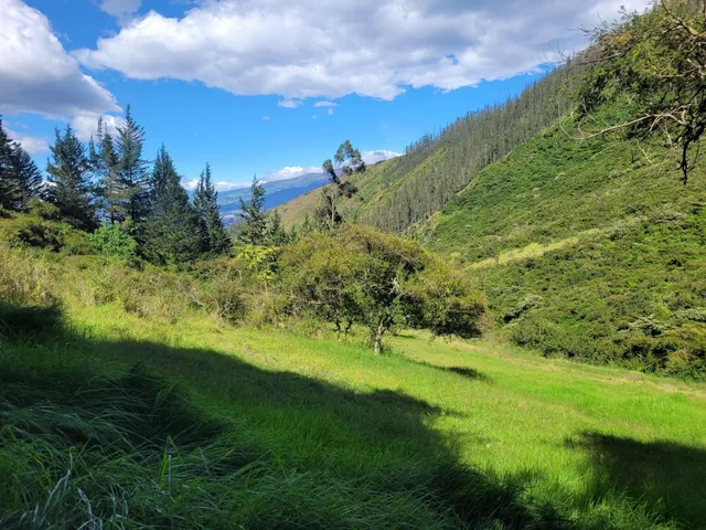 Terreno de 16000 m² en Venta en Tumbaco — imagen 4