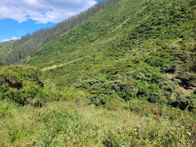 Terreno de 16000 m² en Venta en Tumbaco — imagen 3