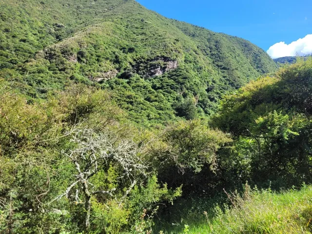 Terreno de 16000 m² en Venta en Tumbaco — imagen 2