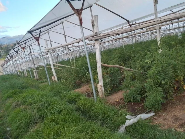 Venta Terreno Yaruki 10.565 m — imagen 2