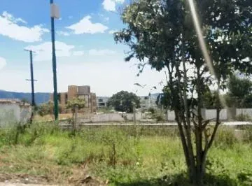 Rento Terreno 3.135 m² en La Ruta Viva Sector La Ceramica — imagen 5