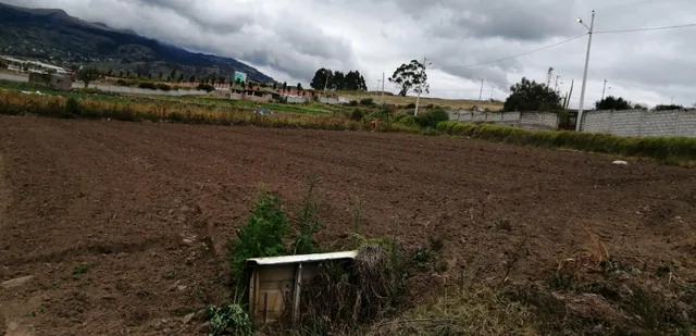 Lote en Venta en Samanga. Tungurahua — imagen 4
