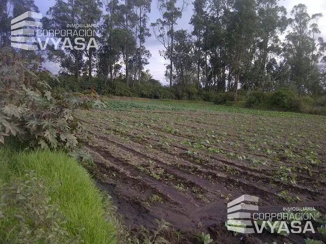 Tababela, Terreno de Venta Junto Al Nuevo Aeropuerto Mariscal Sucre — imagen 5