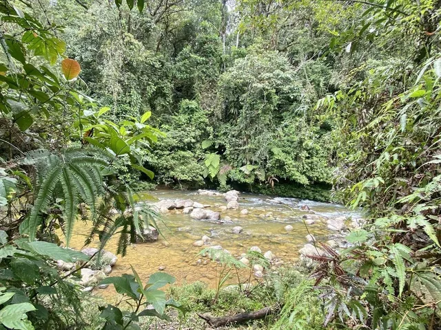 Vendo Lotización en Indillama (El Puyo), Pastaza — imagen 4