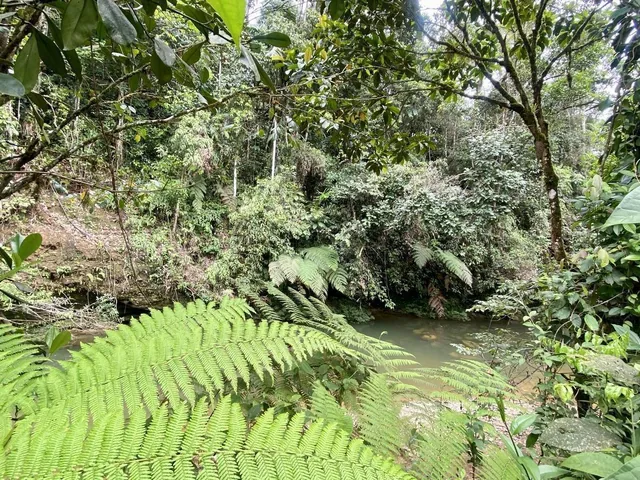 Vendo Lotización en Indillama (El Puyo), Pastaza — imagen 3