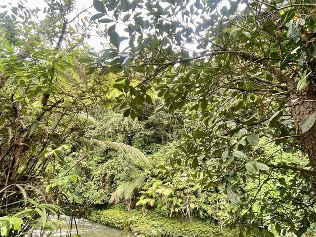 Vendo Lotización en Indillama (El Puyo), Pastaza — imagen 2