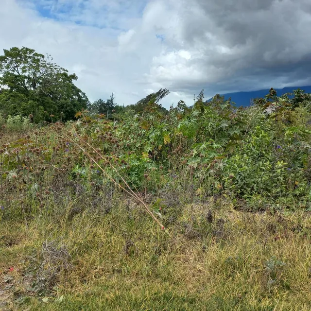 Terreno en Atuntaqui, Imbabura — imagen 3