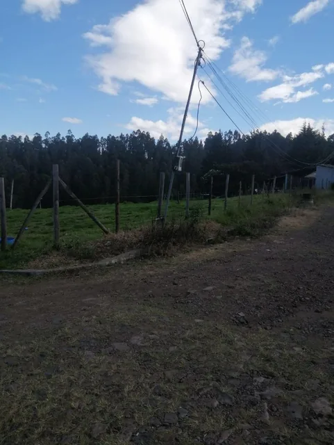 Venta Terreno Plano Alangasí — imagen 5