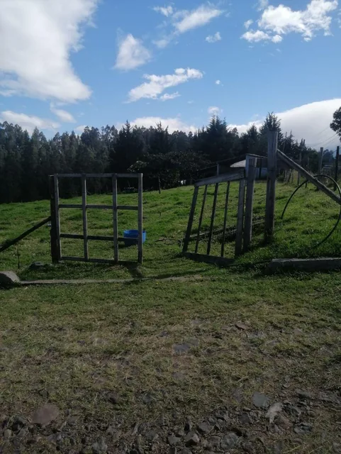 Venta Terreno Plano Alangasí — imagen 3
