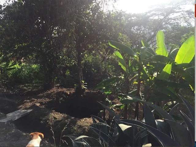 Tumbaco Terreno de Venta Sector Collaqui Hermosa Vista — imagen 5
