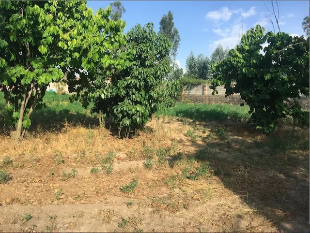 Tumbaco Terreno de Venta Sector Collaqui Hermosa Vista — imagen 2