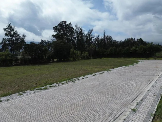 Lotes de 1000 m² de Venta en Puembo Sector Colegio Einstein — imagen 2