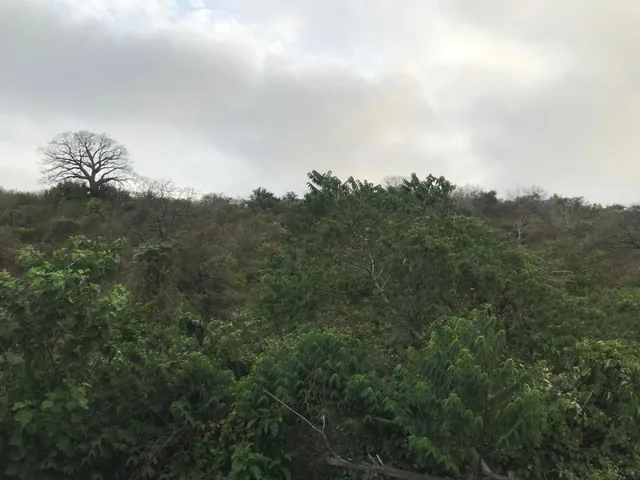 Se Vende Terreno de 3.9 Hectáreas en Manabí, Manabí — imagen 3