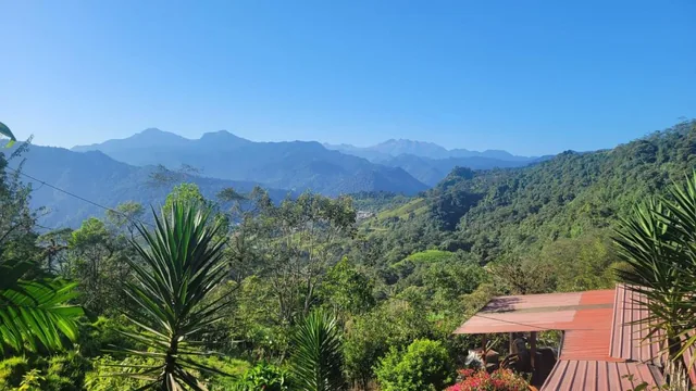 Venta Finca en Nanegalito con Frente a La Vía, 22 Has Gb. Provincia de Pichincha — imagen 5