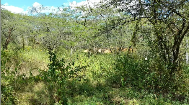 Tumbaco. Hermoso Terreno en La Viña — imagen 4