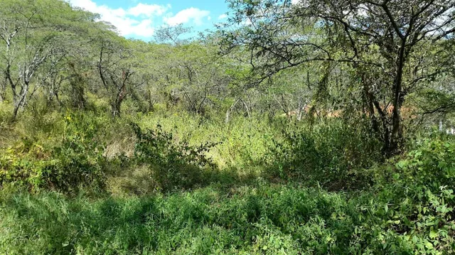 Tumbaco. Hermoso Terreno en La Viña — imagen 3