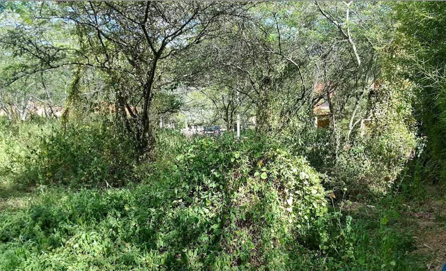 Tumbaco. Hermoso Terreno en La Viña — imagen 2