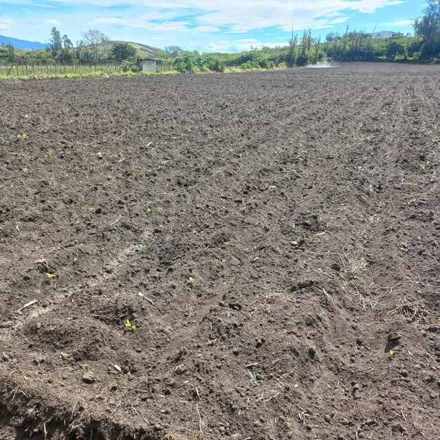 Terreno en Atuntaqui, Imbabura — imagen 4