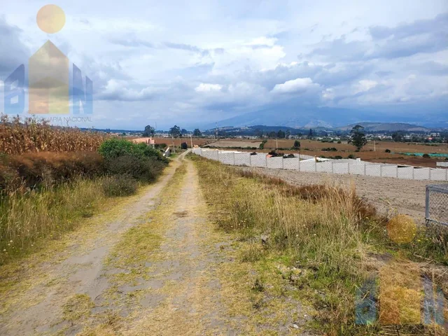 Terreno de Una Hectárea en Venta Sector Malchinguí — imagen 4