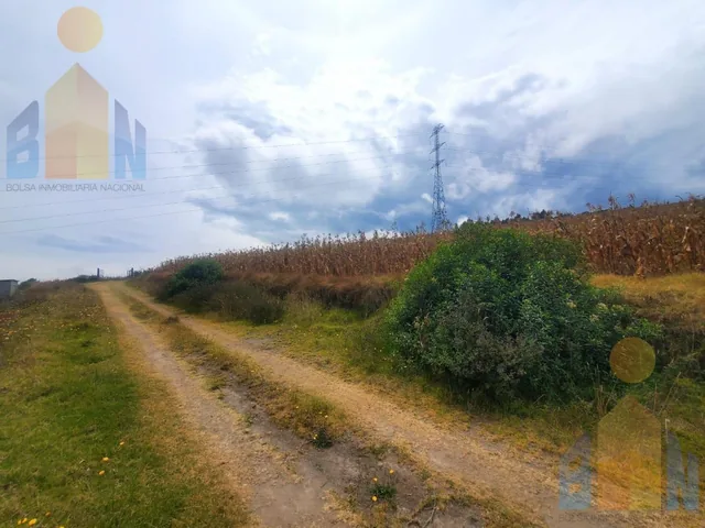 Terreno de Una Hectárea en Venta Sector Malchinguí — imagen 3