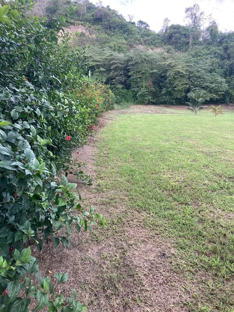 Terreno Frente Al Mar de Venta en Jama Manabi, Manabí — imagen 2