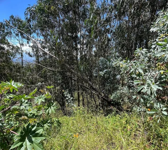 Terreno Bifamiliar Venta Nayon Urbanización *msb* — imagen 4