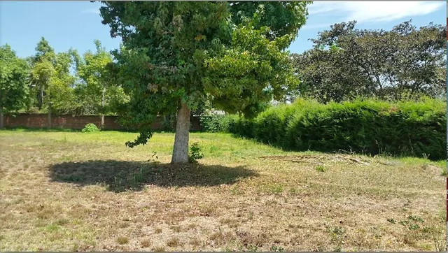 Puembo. Terreno de Venta en Conjunto — imagen 5