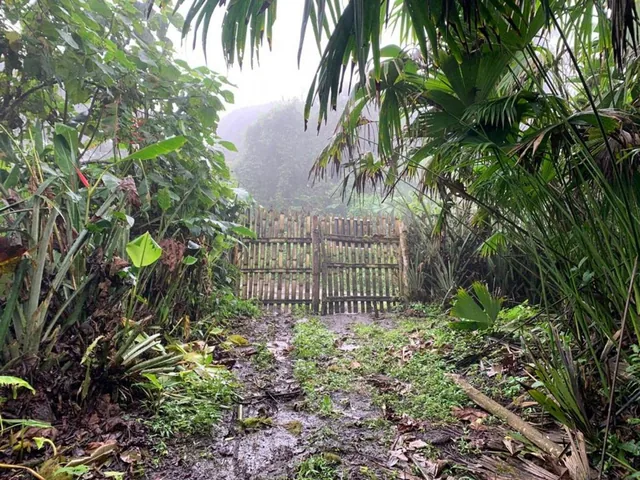 Finca de Venta en Bosque Pacoche Manta Manabí Bl, Manabí — imagen 5