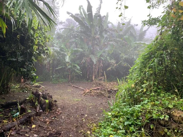 Finca de Venta en Bosque Pacoche Manta Manabí Bl, Manabí — imagen 2