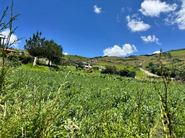 Terreno 1817 con Casa de 160 m² Estratégicon con 3 Frentes, Catzuqui de Velazco — imagen 5