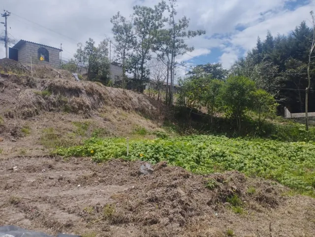 Terreno, Alangasi Av Ilalo y Av Gaspar de Villarroel 2920 m² — imagen 2