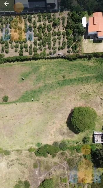 Vendo Terreno 7000 m² 50% 100% Cos Puembo Sector Mangahuantag — imagen 4