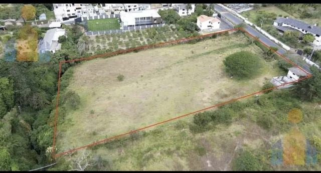 Vendo Terreno 7000 m² 50% 100% Cos Puembo Sector Mangahuantag — imagen 2