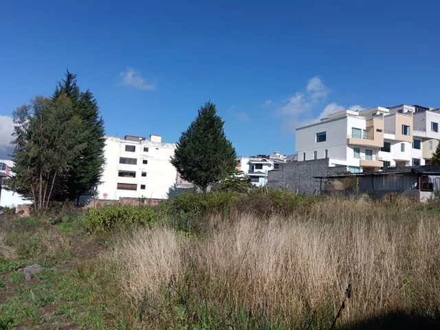 Terreno en Venta — imagen 5