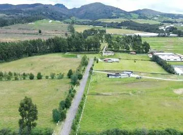 Vendo Terreno Plano Urbanizado, Exclusivo, Sector Tabacundo — imagen 3