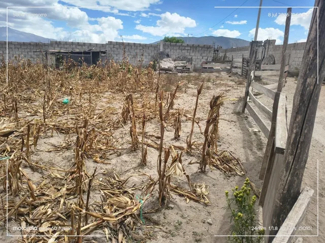 Terreno en Calderon de 445 m — imagen 2