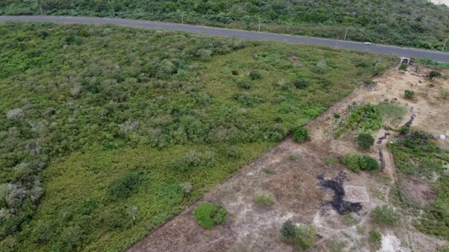 Terreno de Venta en Manta Zona Sur El Aromo, Manabí — imagen 4