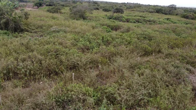 Terreno de Venta en Manta Zona Sur El Aromo, Manabí — imagen 3