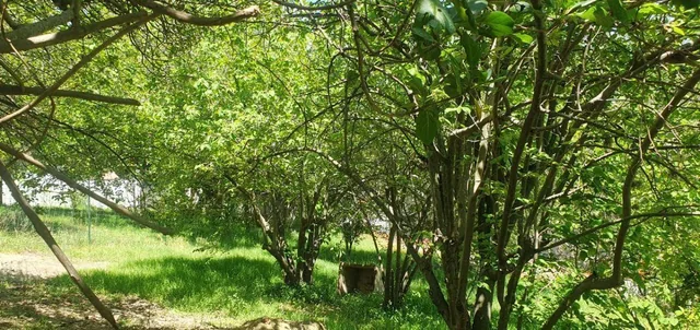Terreno de 770 m² en Venta en Tumbaco Pachosalas — imagen 4