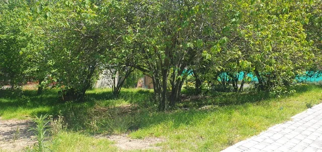 Terreno de 770 m² en Venta en Tumbaco Pachosalas — imagen 2