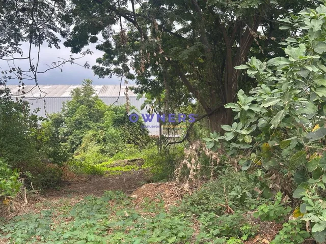 Se Vende Lote de Terreno 10.000 m² Km 9,5 Via a La Costa a Pie de La Via (Jlr), Guayas — imagen 2