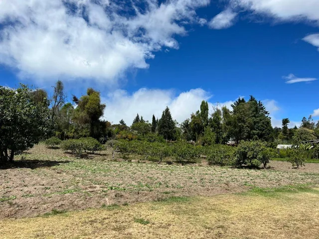Mv - Puembo, Urbanización Privada, en Venta Terreno Independiente Bifamiliar 995.82 m² — imagen 5