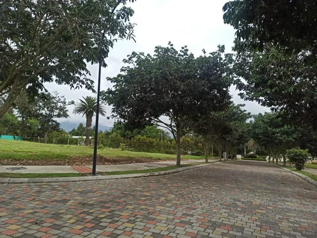 Terreno en Venta en Puembo – 1.000 m² en Urbanización Privada Junto a Arrayanes — imagen 4