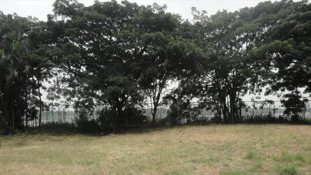 Vendo Terreno Para Edificio Frente Al Río Daule Samborondon, Guayas — imagen 3