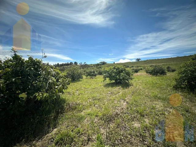 Terreno en Venta (Centro de Mira - Carchi), Carchi — imagen 4