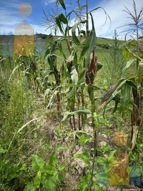 Terreno en Venta (Centro de Mira - Carchi), Carchi — imagen 2